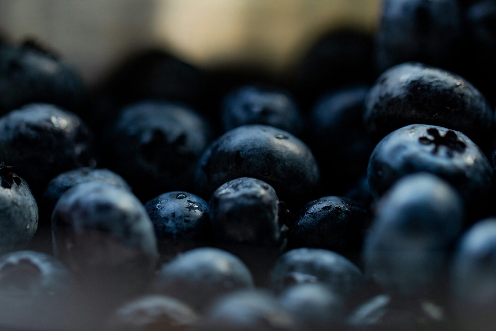 Featured image for “How Bilberry Supports Mitochondrial Function”