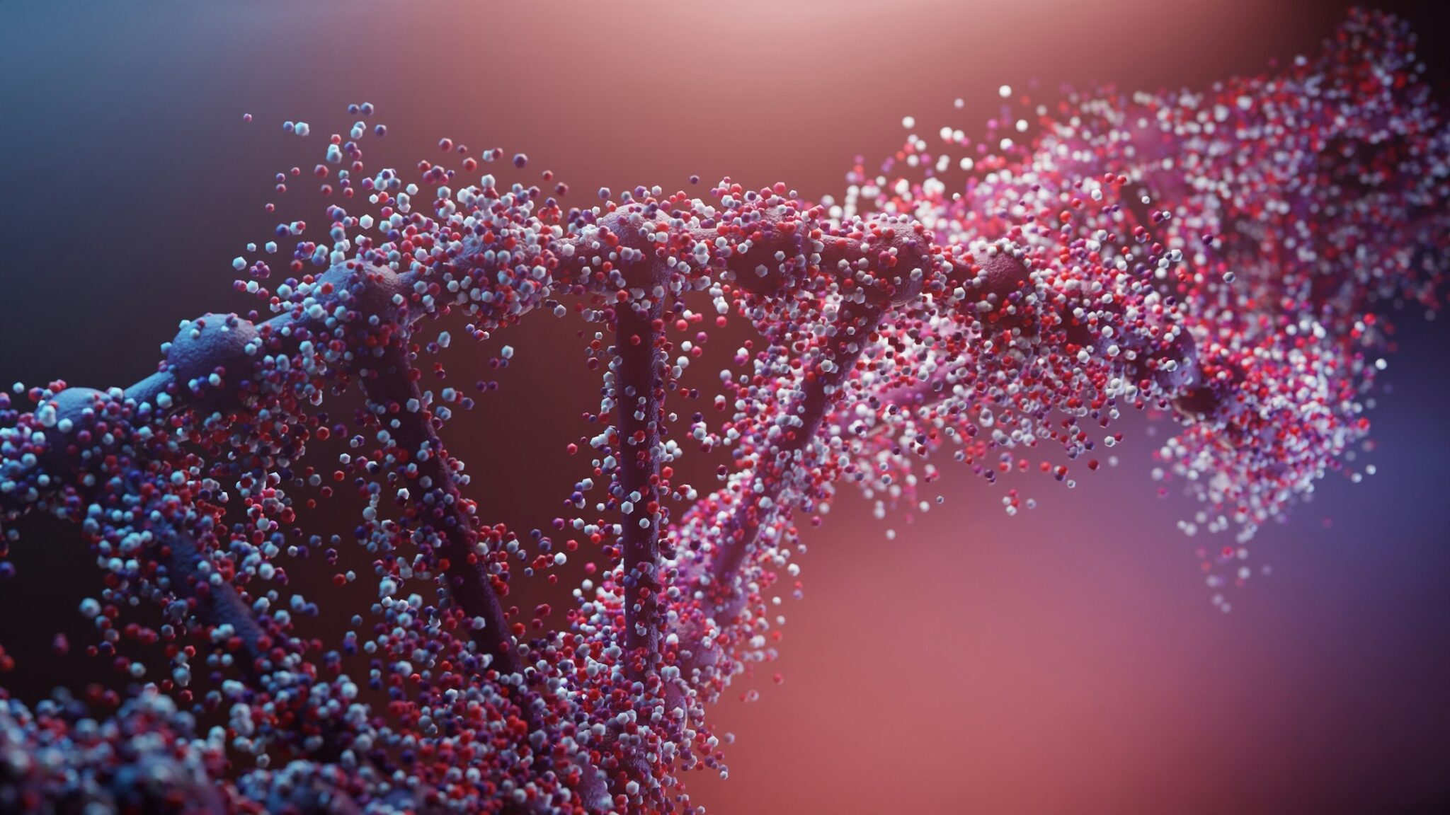 dna strand