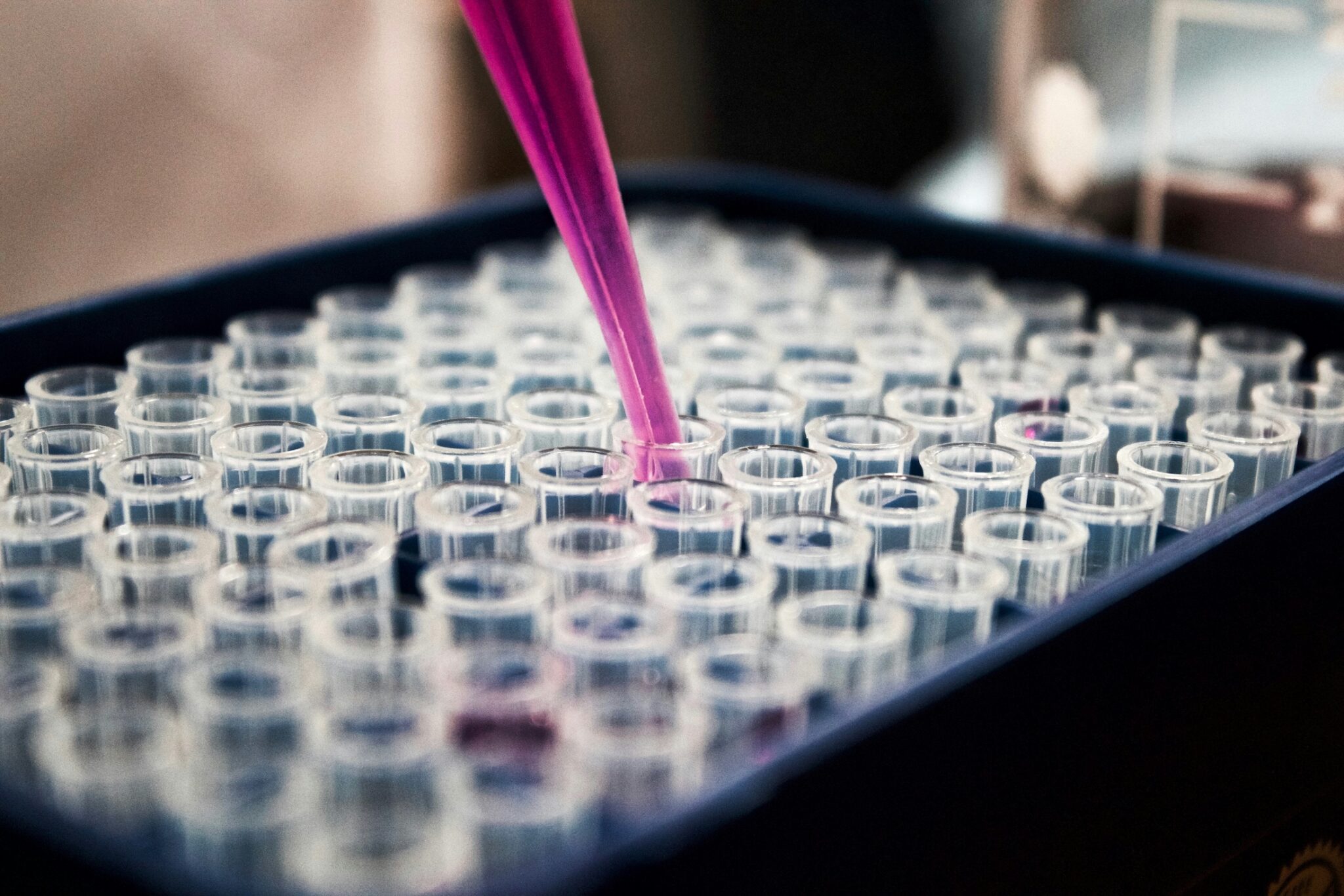 Development Focus in the Lab