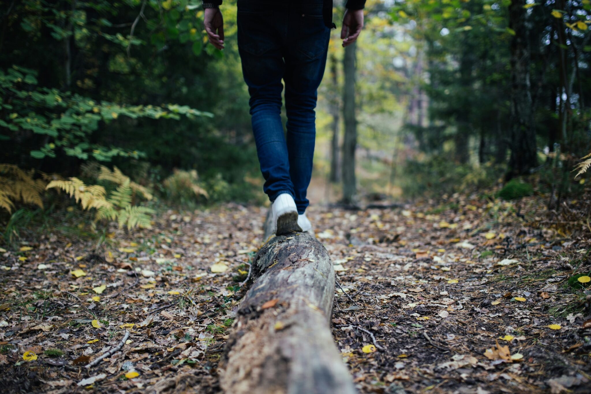 trail walk