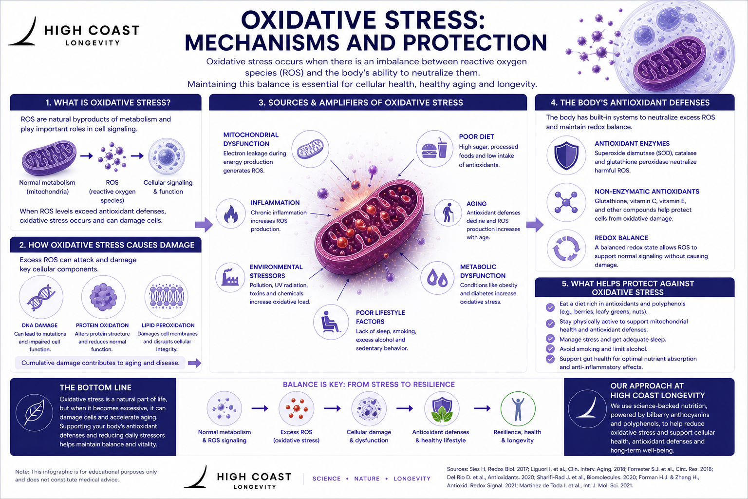 Featured image for “OXIDATIVE STRESS”
